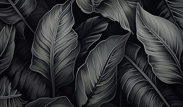 Hojas con textura sobre fondo oscuro Hojas con textura sobre fondo oscuro
