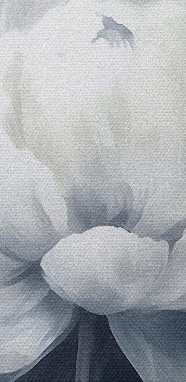 White flower on a blue background