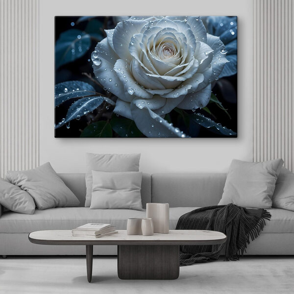 Rosa blanca con gotas de agua Cuadros Rosa blanca con gotas de agua