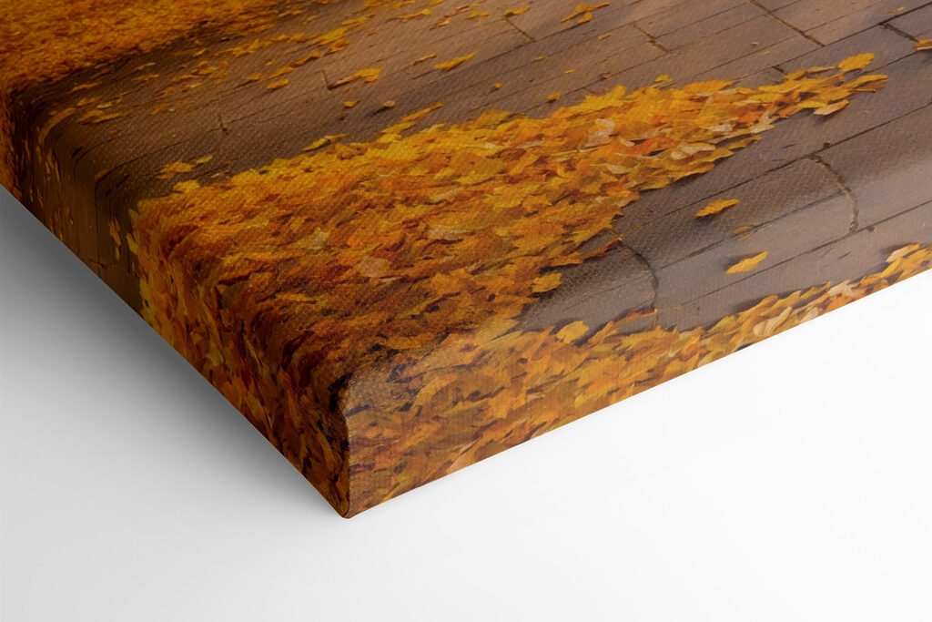 Path with orange leaves on the ground
