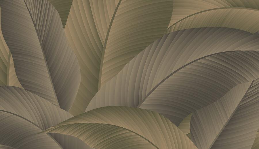 Fotomurales El tapiz verde de capas de la naturaleza - Imagen 3