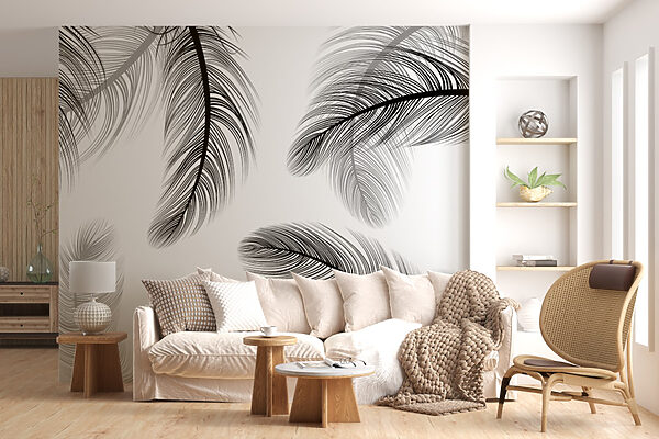 Group of black and white feathers Group of black and white feathers