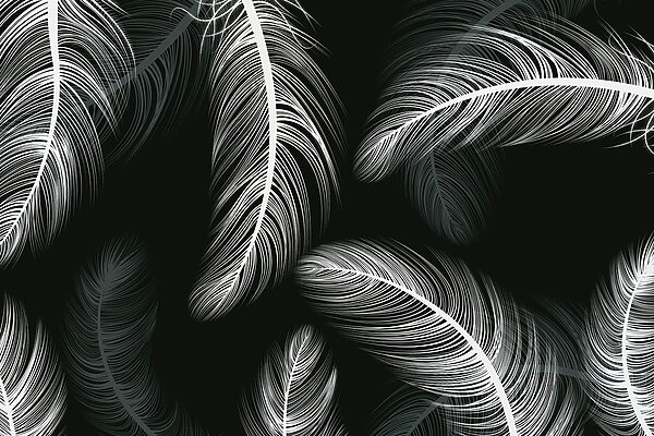 Grupo de plumas blancas Grupo de plumas blancas