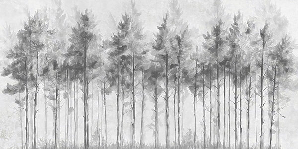 Grupo de árboles en un bosque Grupo de árboles en un bosque