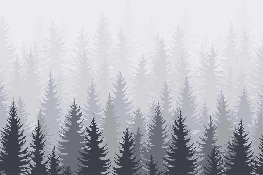 Grupo de árboles en un bosque