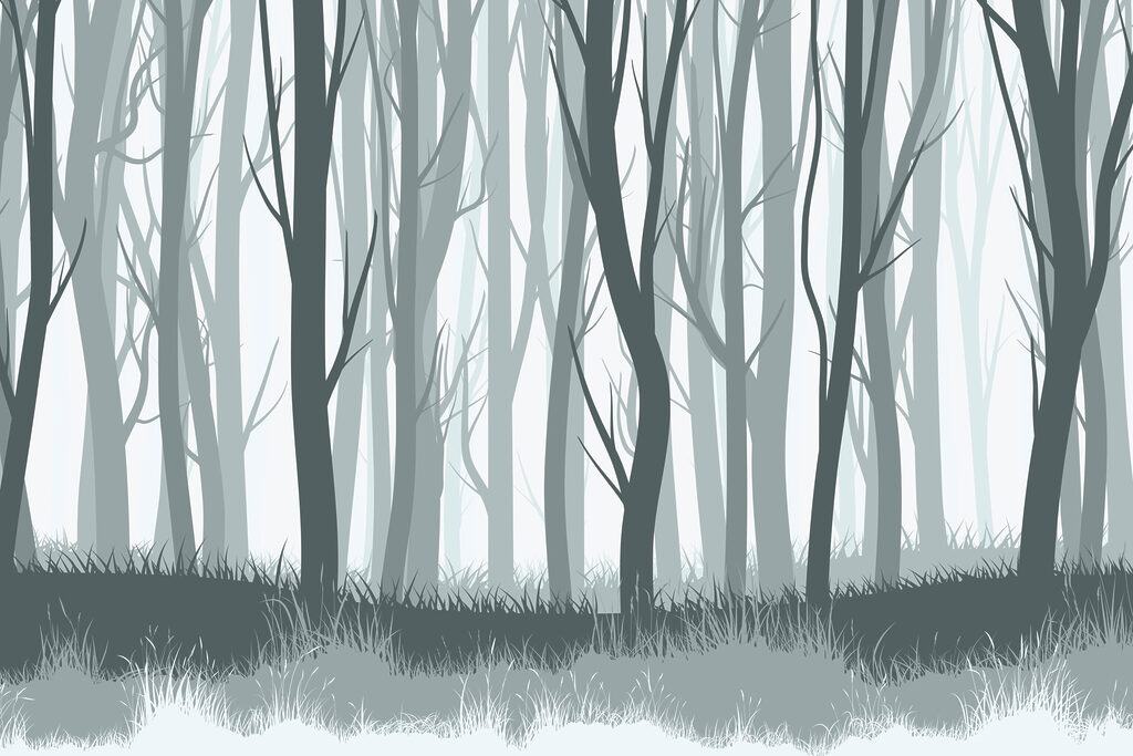Grupo de árboles en un bosque Grupo de árboles en un bosque