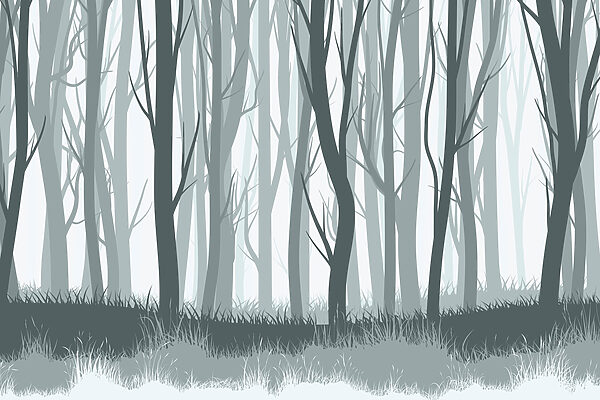 Grupo de árboles en un bosque Grupo de árboles en un bosque