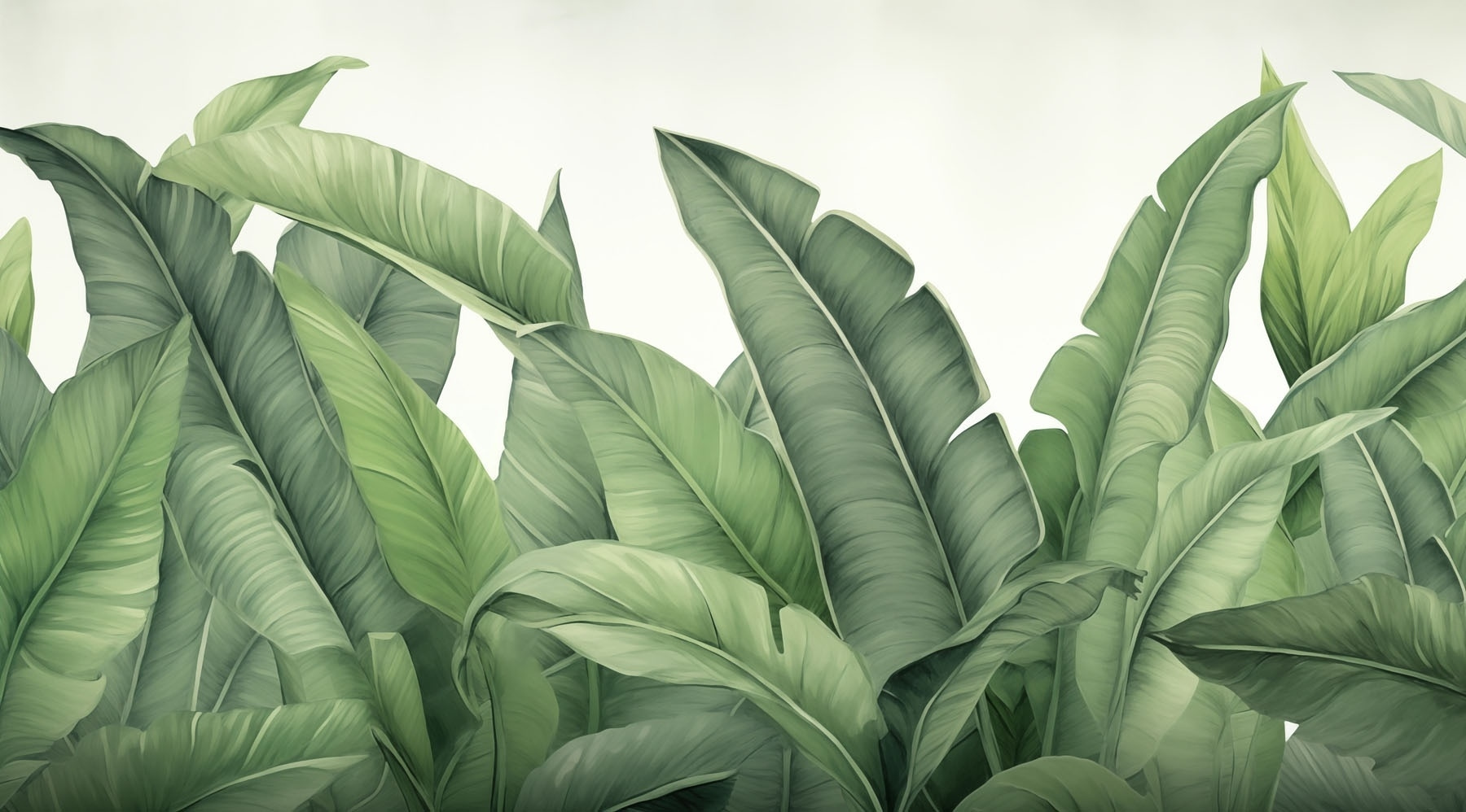 Group of green leaves Group of green leaves