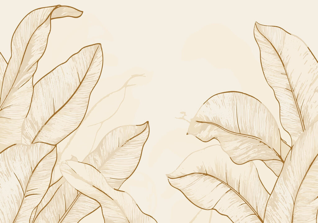 La elegancia de la naturaleza en tonos sutiles La elegancia de la naturaleza en tonos sutiles
