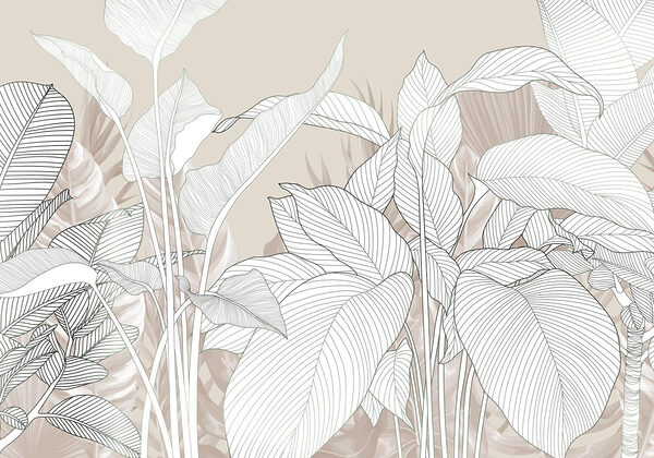 Delicate lines and soft textures
