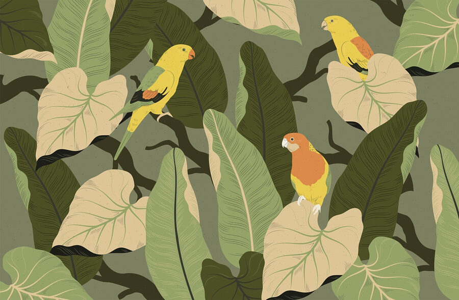Pájaros de colores en la rama de un árbol