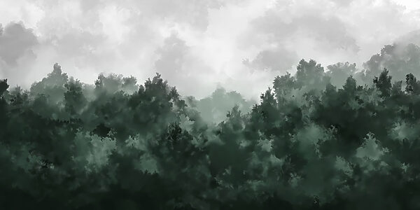 Bosque brumoso con árboles Bosque brumoso con árboles