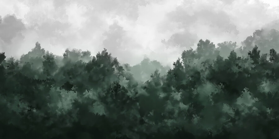 Bosque brumoso con árboles