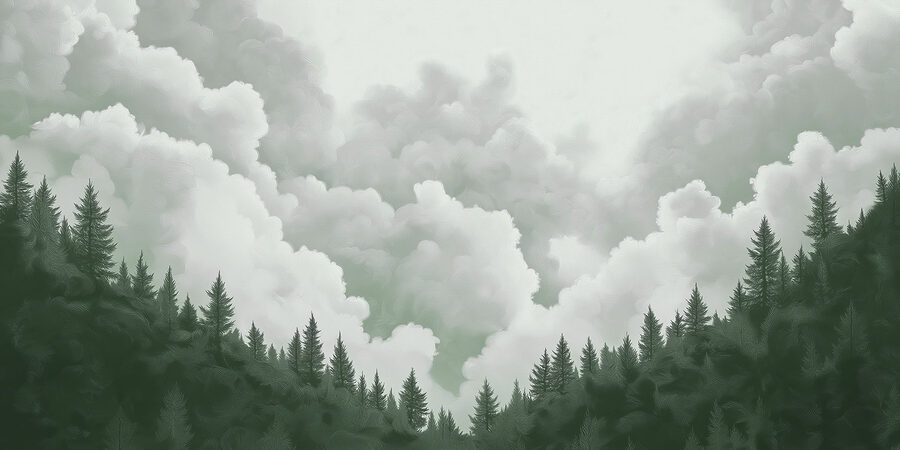 Grupo de árboles y nubes
