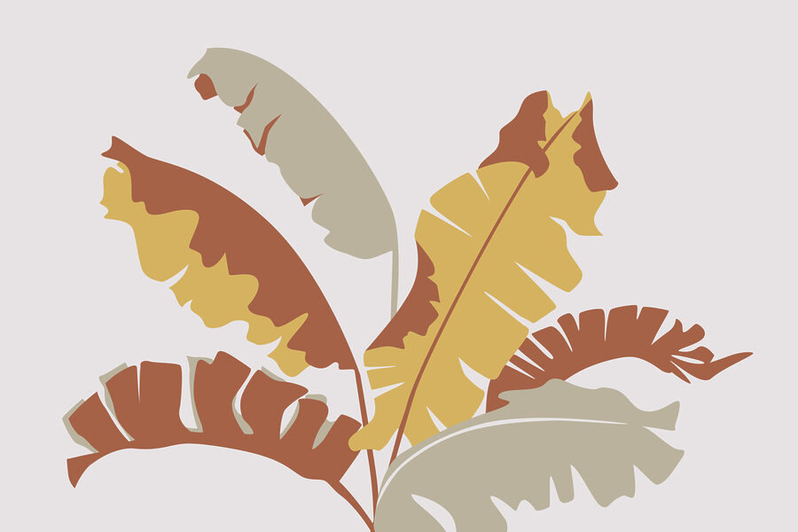 Planta con hojas