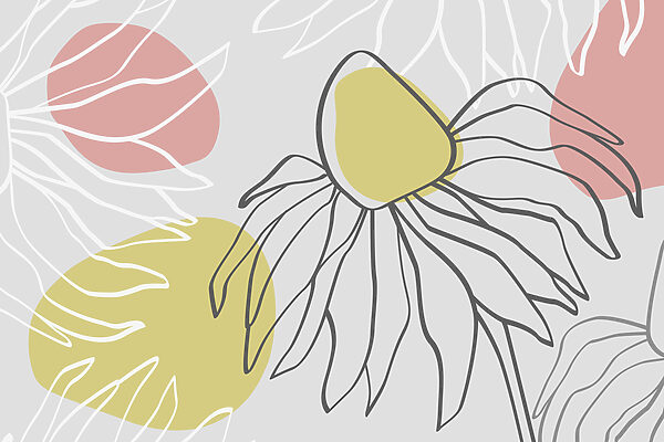 Dibujo de una flor Dibujo de una flor