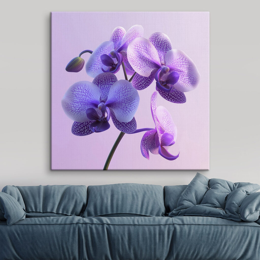 Purple and white orchid flower