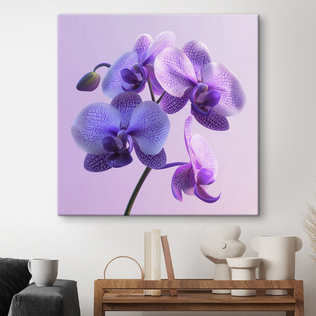 Purple and white orchid flower