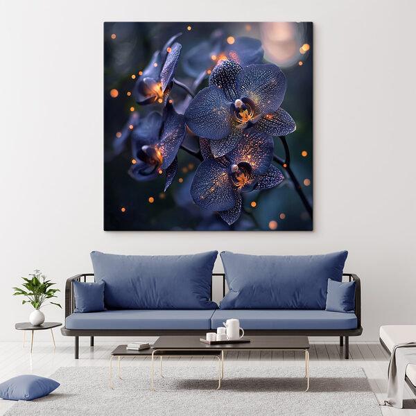 Elegant orchids in soft ambiance Elegant orchids in soft ambiance