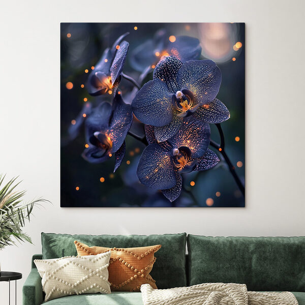 Elegant orchids in soft ambiance Elegant orchids in soft ambiance