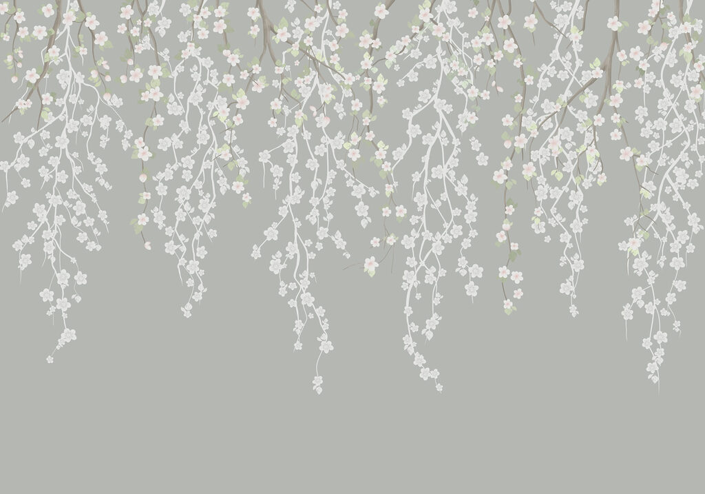 Flores blancas en la rama de un árbol Flores blancas en la rama de un árbol