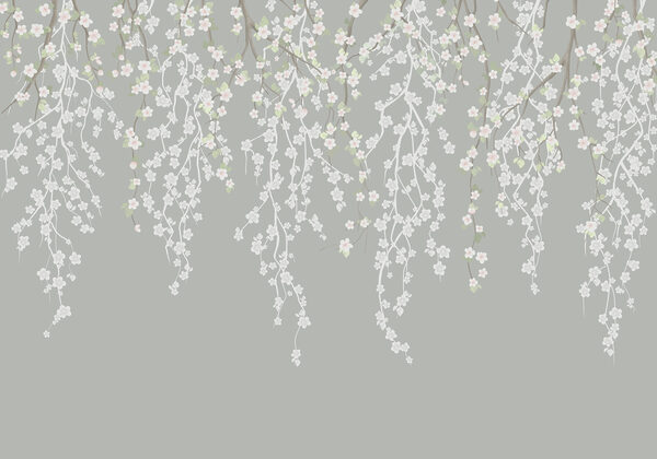 Flores blancas en la rama de un árbol Flores blancas en la rama de un árbol