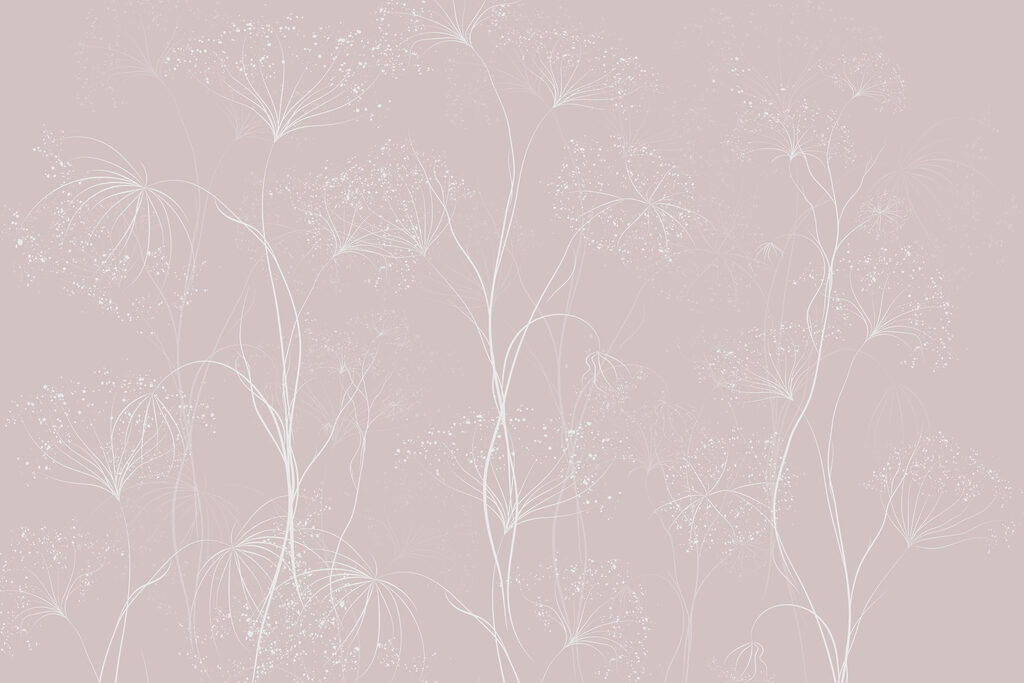 Flores blancas sobre fondo rosa Flores blancas sobre fondo rosa