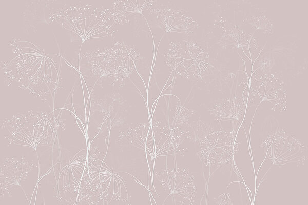 Flores blancas sobre fondo rosa Flores blancas sobre fondo rosa