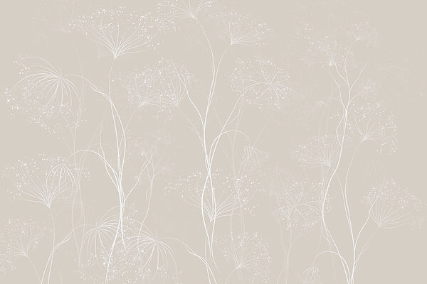 Flores blancas sobre fondo gris Flores blancas sobre fondo gris