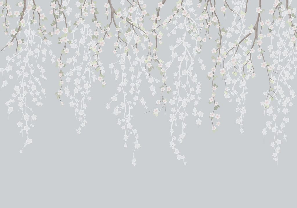 Flores blancas en la rama de un árbol Flores blancas en la rama de un árbol