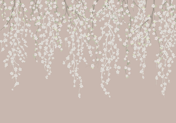 Flores blancas en la rama de un árbol Flores blancas en la rama de un árbol