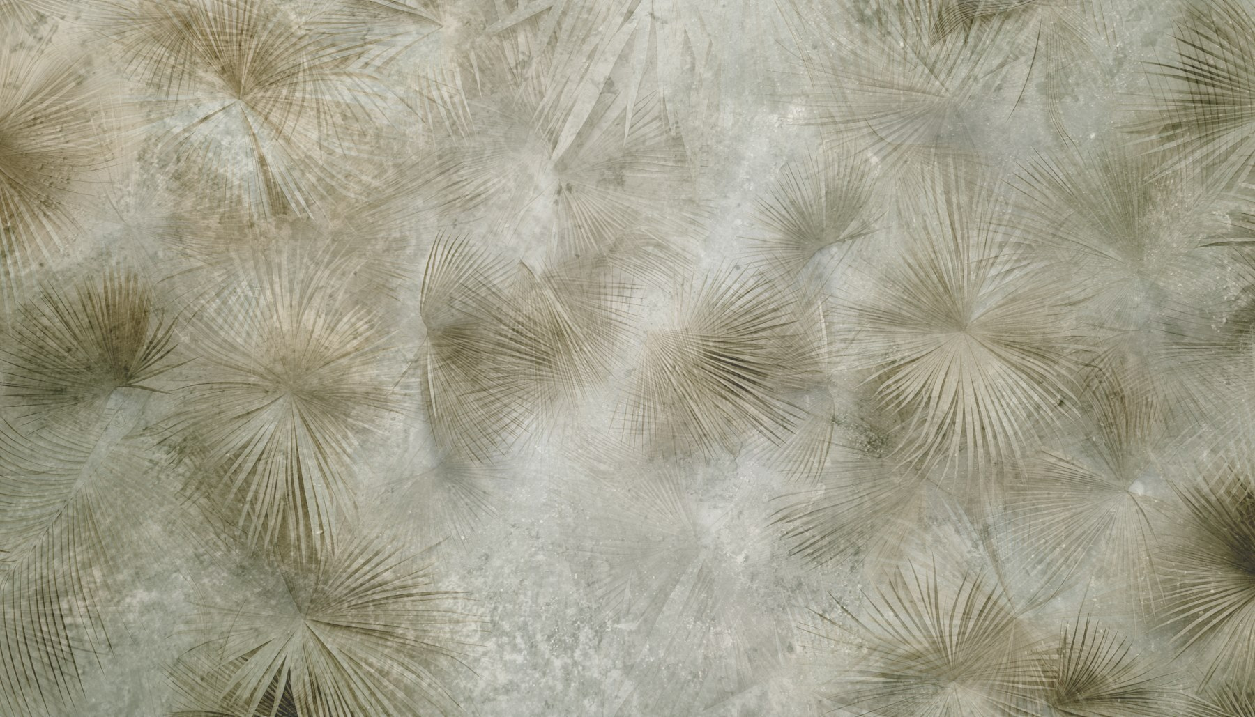 Nature's patterns in soft colors