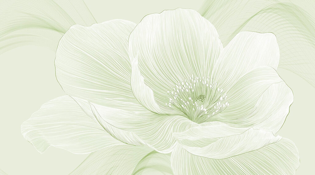 Delicadas líneas de belleza natural Delicadas líneas de belleza natural