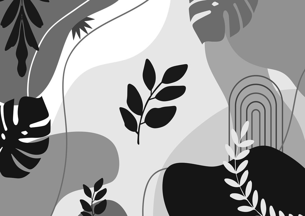 Imagen en blanco y negro de hojas y plantas Imagen en blanco y negro de hojas y plantas