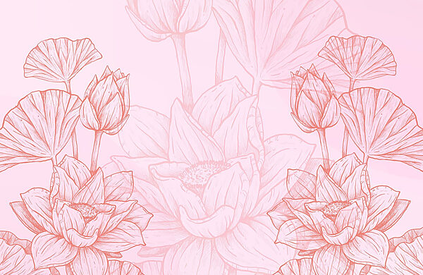 Dibujo de flor rosa y blanca Dibujo de flor rosa y blanca