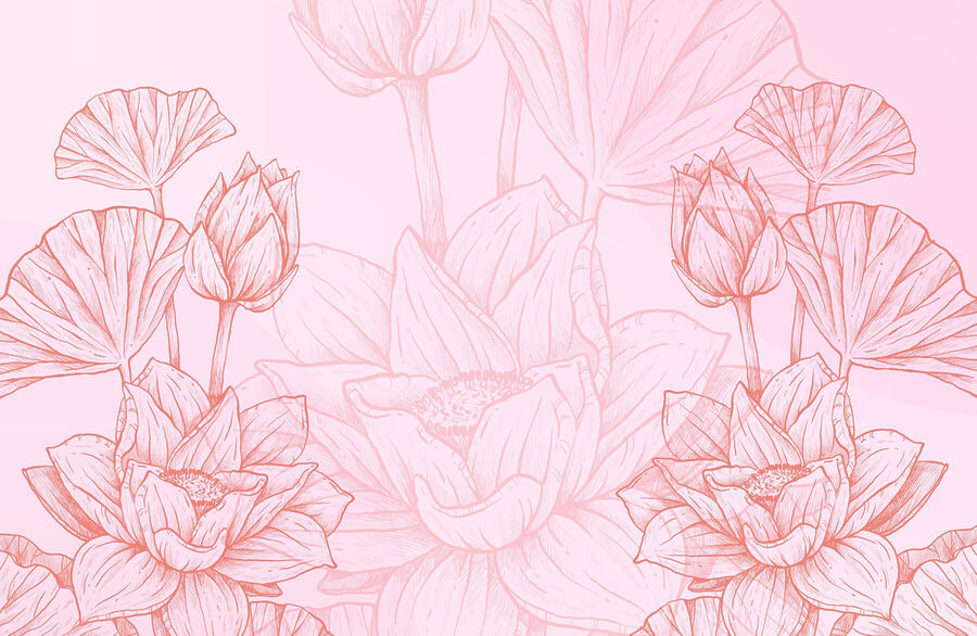 Dibujo de flor rosa y blanca
