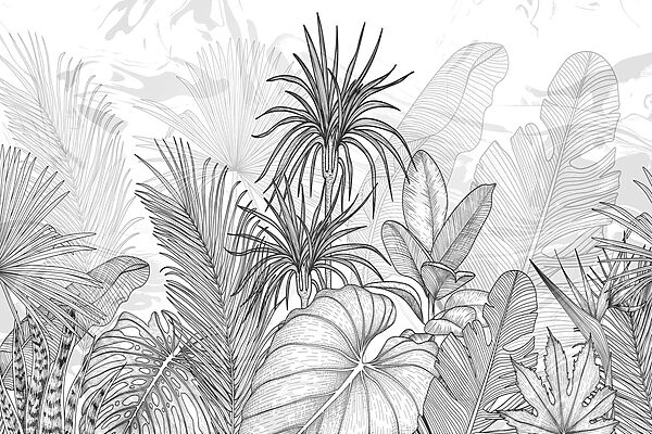 Dibujo de plantas en blanco y negro Dibujo de plantas en blanco y negro