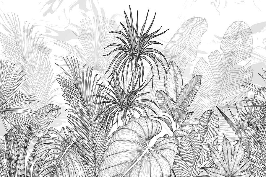 Dibujo de plantas en blanco y negro