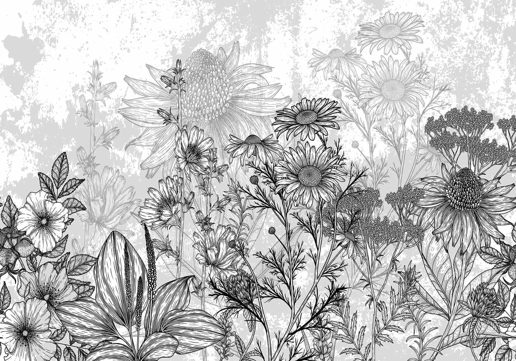 Black and white image of flowers