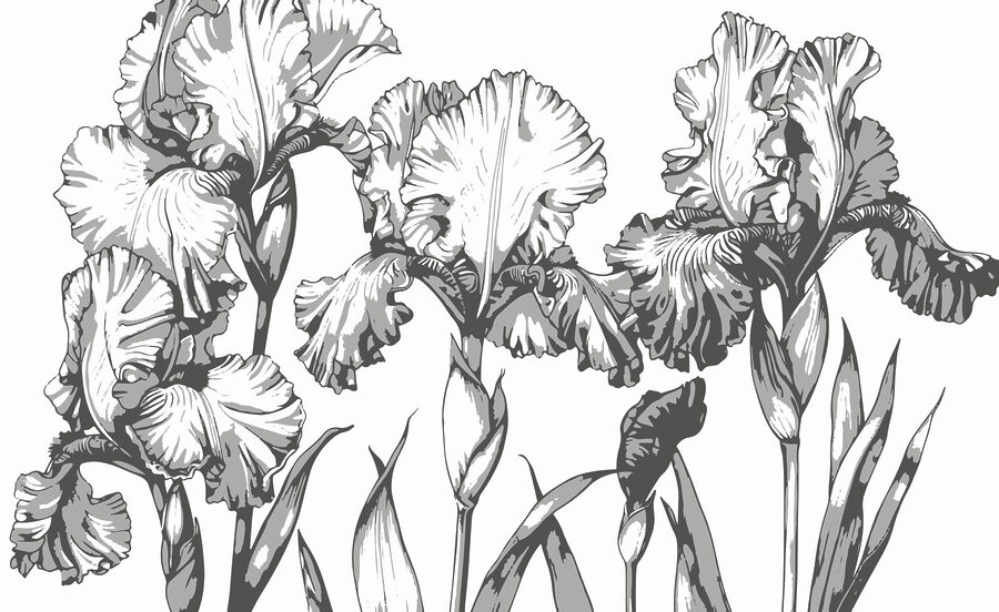 Grupo de flores con hojas