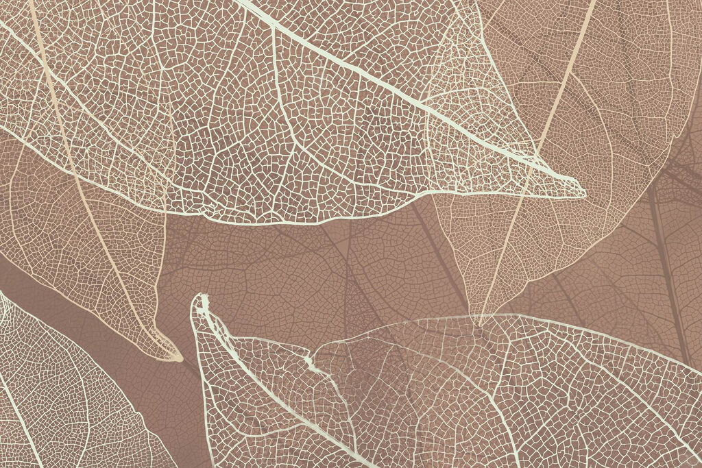Delicadas vetas de la naturaleza’obras de arte Delicadas vetas de la naturaleza’obras de arte