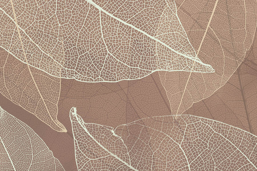 Delicadas vetas de la naturaleza’obras de arte
