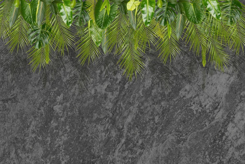 Grupo de hojas verdes sobre fondo gris Grupo de hojas verdes sobre fondo gris