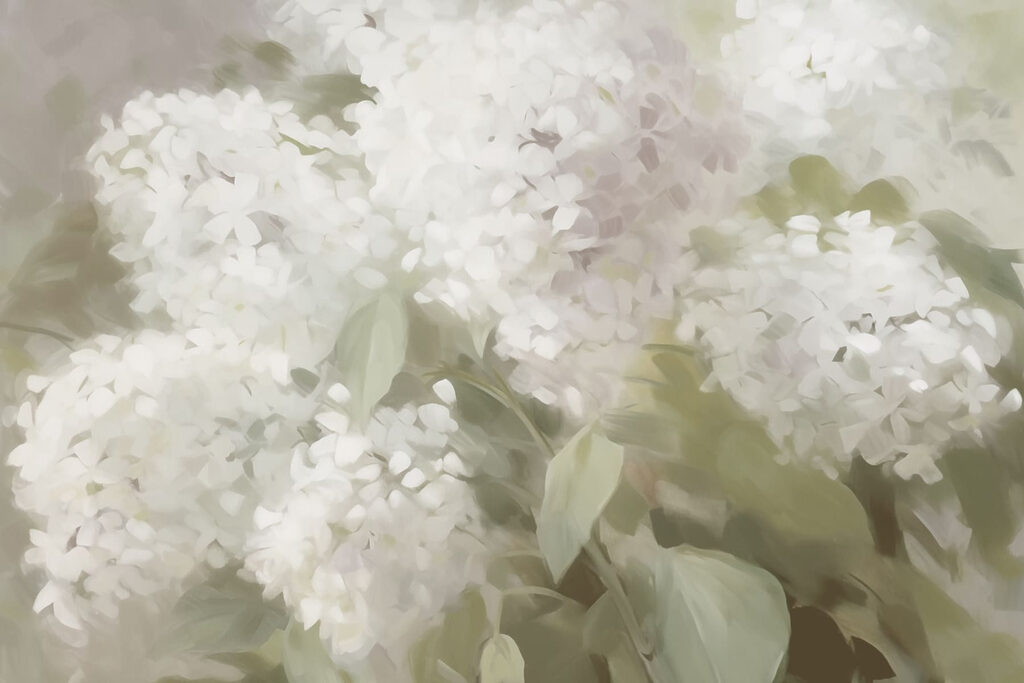 Delicadas flores blancas bajo una luz suave Delicadas flores blancas bajo una luz suave