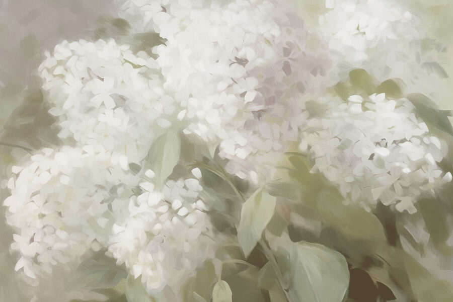 Delicadas flores blancas bajo una luz suave
