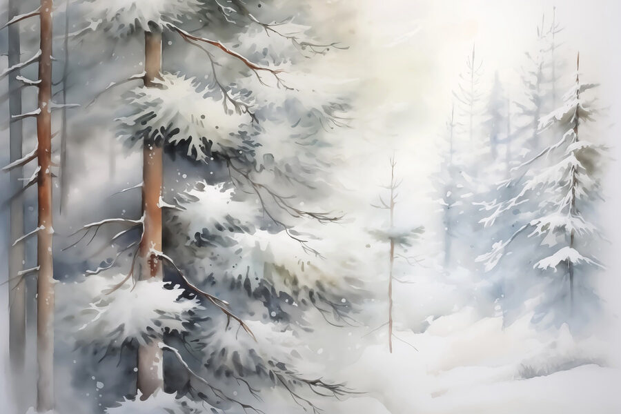 Fotomurales Árboles cubiertos de nieve en un bosque - Imagen 3