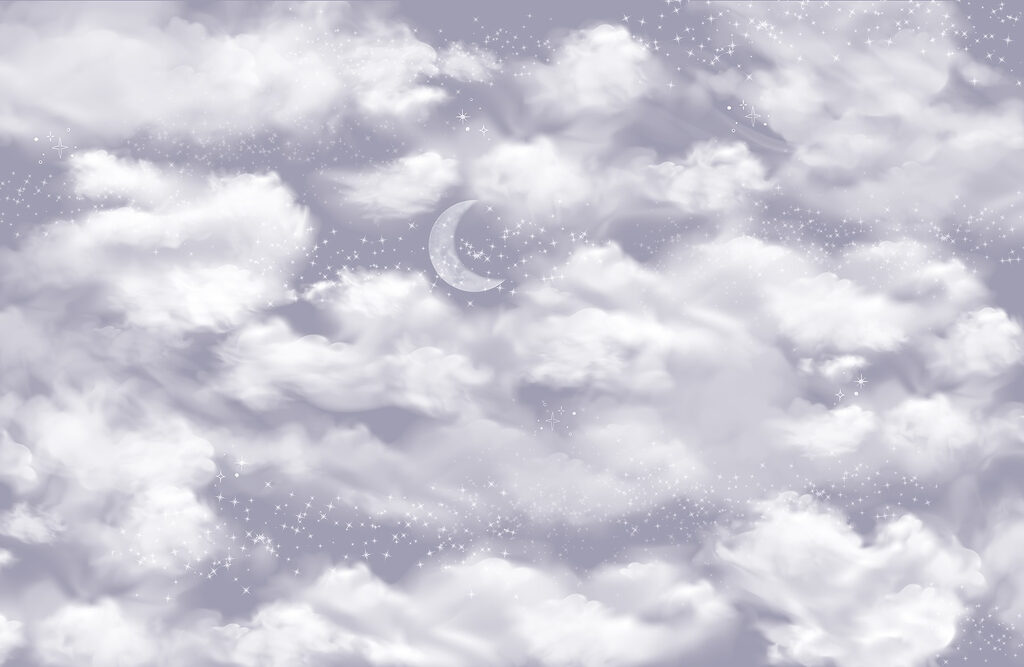 Moon in the sky