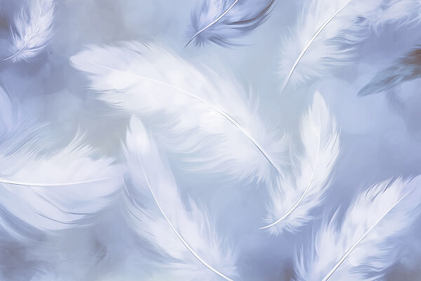 Group of white feathers