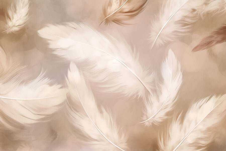 Grupo de plumas blancas