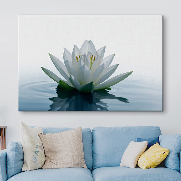 Cuadros Flor blanca en el agua (SKU: s42098) Cuadros Cuadros Flor blanca en el agua (SKU: s42098)